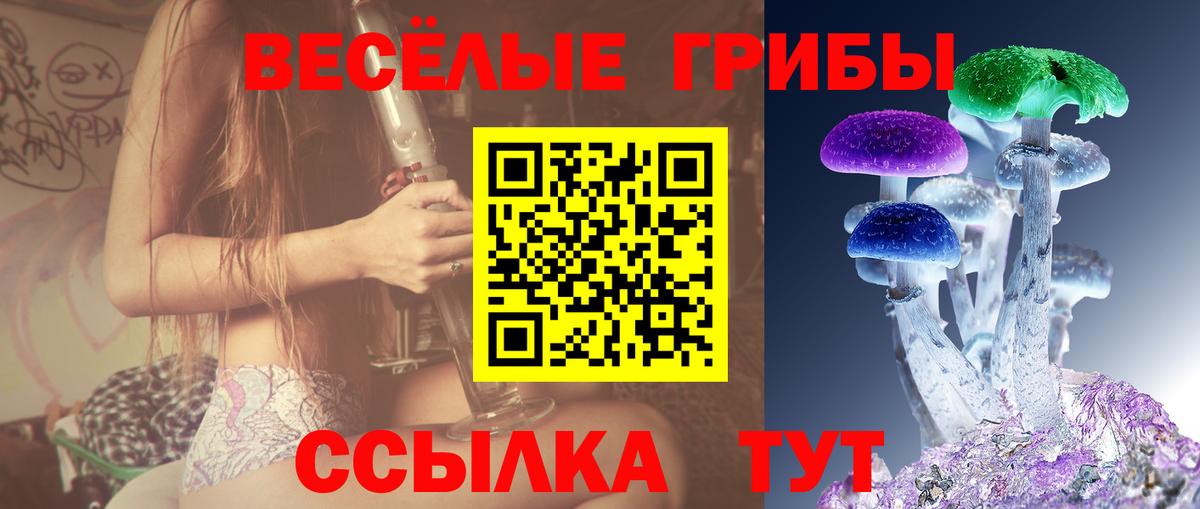 Псилоцибиновые грибы Psilocybe Дивногорск