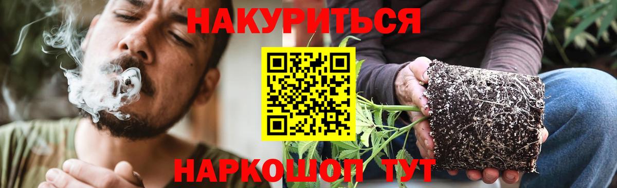 Конопля Amnesia Дивногорск